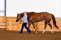 AJB_0450