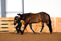 AJB_0293