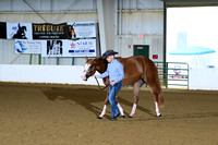 23. Amatuer Two Year Old Mares