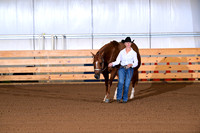 210. Level 1 Amatuer Performance Mares