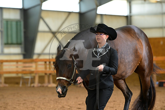 AJB_1409