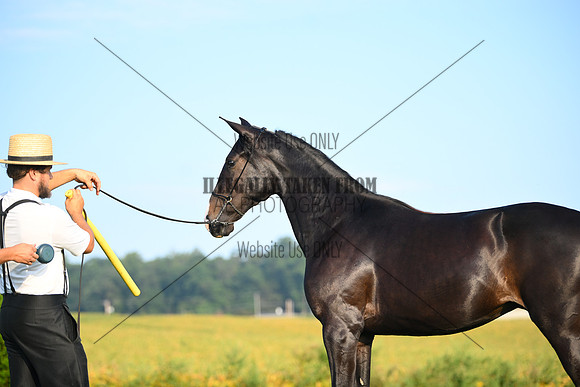 AJB_0577
