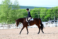 AJB_3401