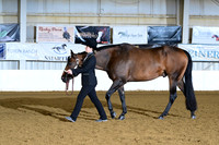 AJB_1617
