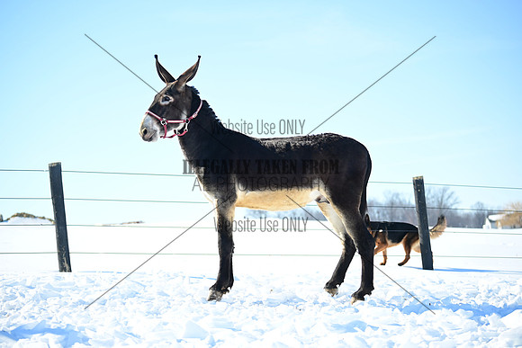 file_176923722752