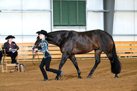 AJB_1481
