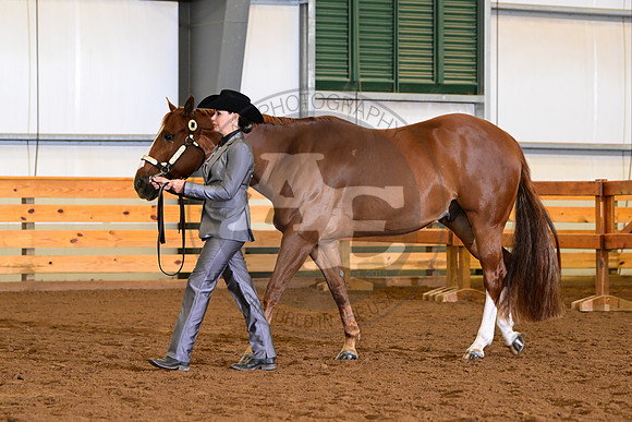 AJB_0470