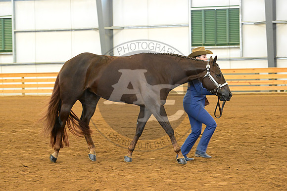 AJB_1816