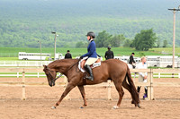 AJB_6592