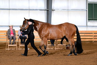 AJB_0942