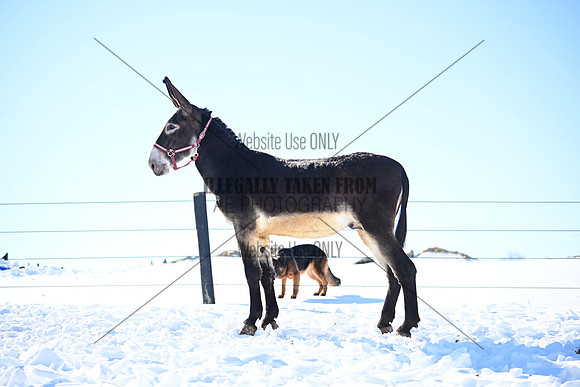 file_176995612160