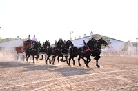 AJB_6419