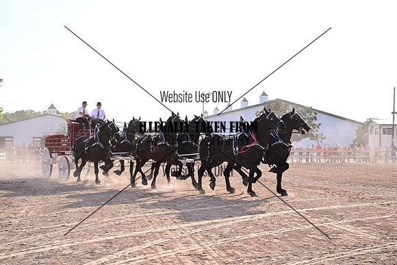 AJB_6419