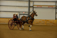 Sr. Youth Cart-10