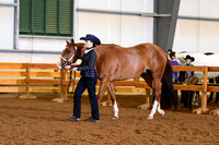 AJB_0257