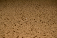 AB2_0290