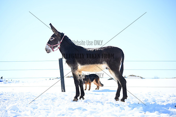 file_176995429376