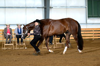 AJB_0967
