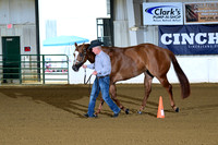18. Aged Mares