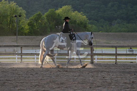 AJB_0722