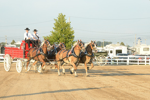 Four Horse Hitch_Amateur_youth-7