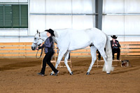 AJB_0787