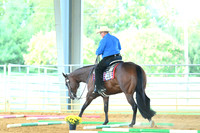 AJB_2813
