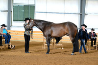 AJB_1473