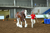 AJB_6193