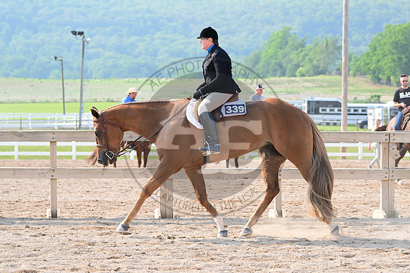AJB_6791
