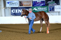 30. Two Year Old Geldings