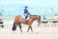 AJB_6096