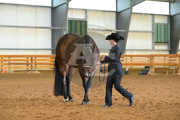 AJB_1413