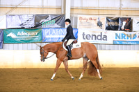 Amateur Hunter Under Saddle