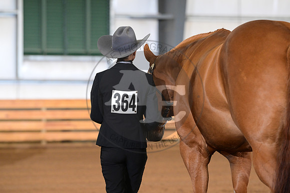 AJB_0821