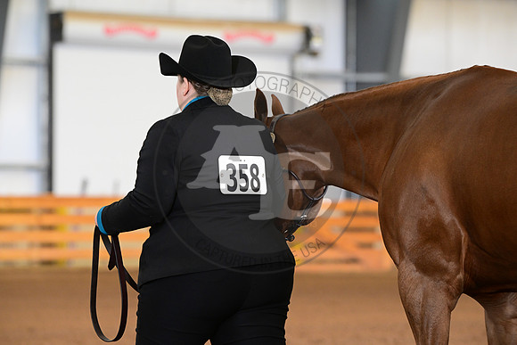 AJB_0794