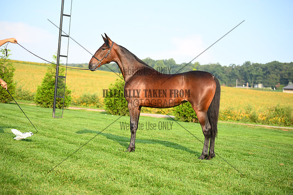 AJB_0628