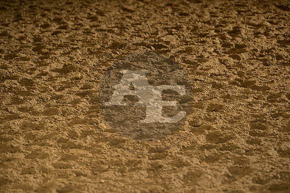 AJB_3228