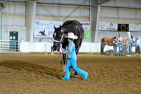 AJB_9030