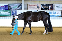 AJB_9033