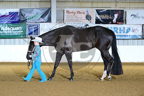 AJB_9033