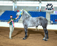 AJB_4931
