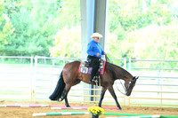 AJB_2818