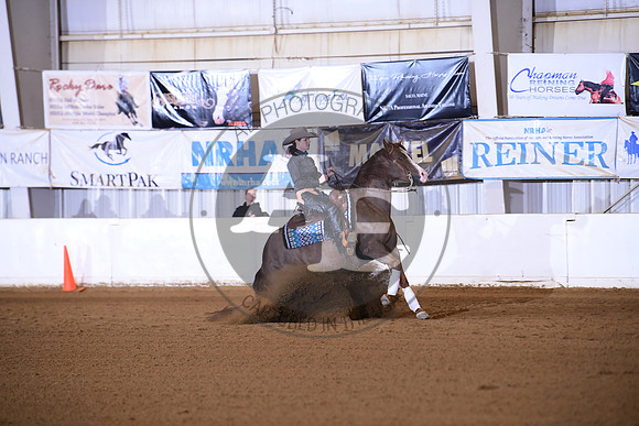 AJB_6529