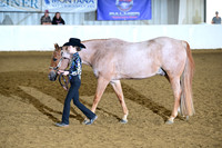 AJB_2010