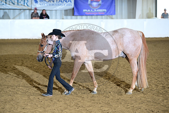 AJB_2010
