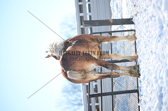 file_177298611712