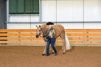 29. Amateur Aged Geldings