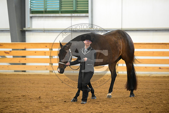 AJB_2096