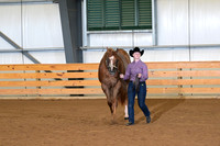38. Youth 3 Year Old Geldings